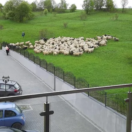 Bachledzki Wierch Appartamento *