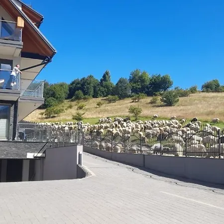 Apartman Bachledzki Wierch Zakopane
