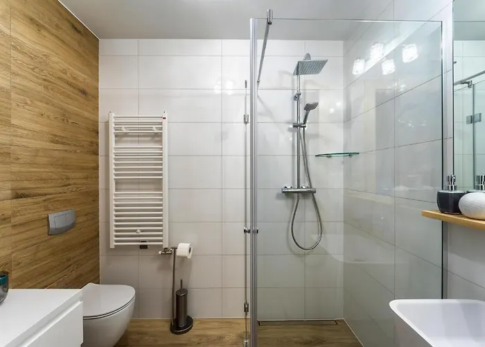 Bachledzki Wierch זקופאנה