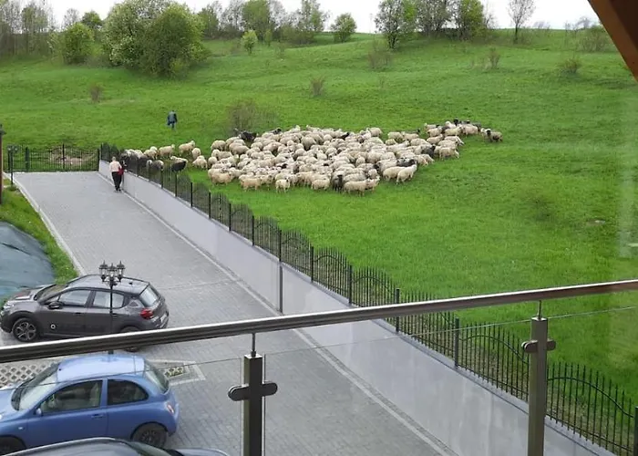 Bachledzki Wierch דירה *